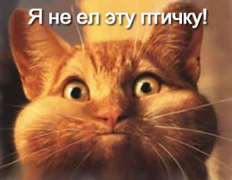 http://www.softcat.ru/images/cat1/cat_7.jpg
